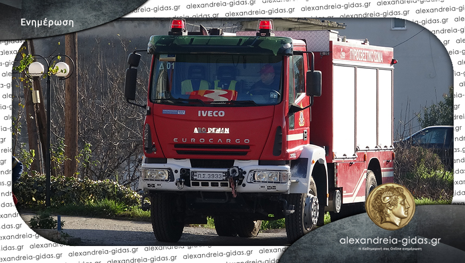 Ξεκίνησε η αντιπυρική περίοδος – έλεγχοι και περιπολίες από τους πυροσβέστες της Ημαθίας