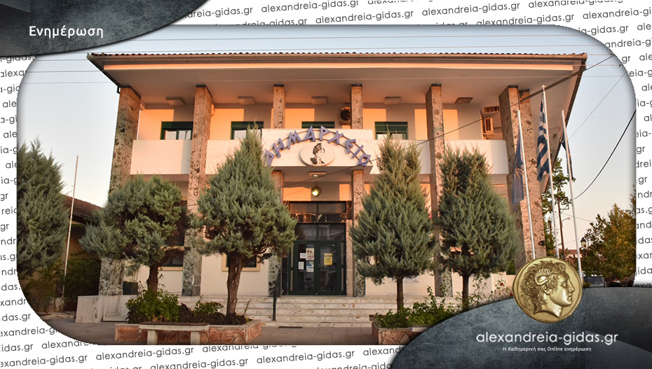 Μπορεί κάποιος με κινητικά προβλήματα να ανέβει στο δημαρχείο Αλεξάνδρειας;