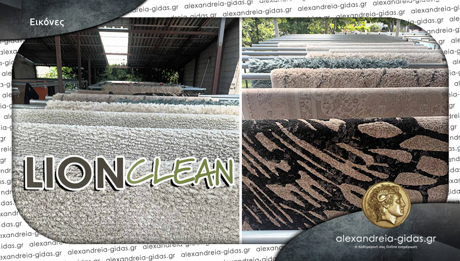 LION CLEAN: Καθαρισμός και φύλαξη χαλιών εγγυημένα στην περιοχή του δήμου Αλεξάνδρειας!