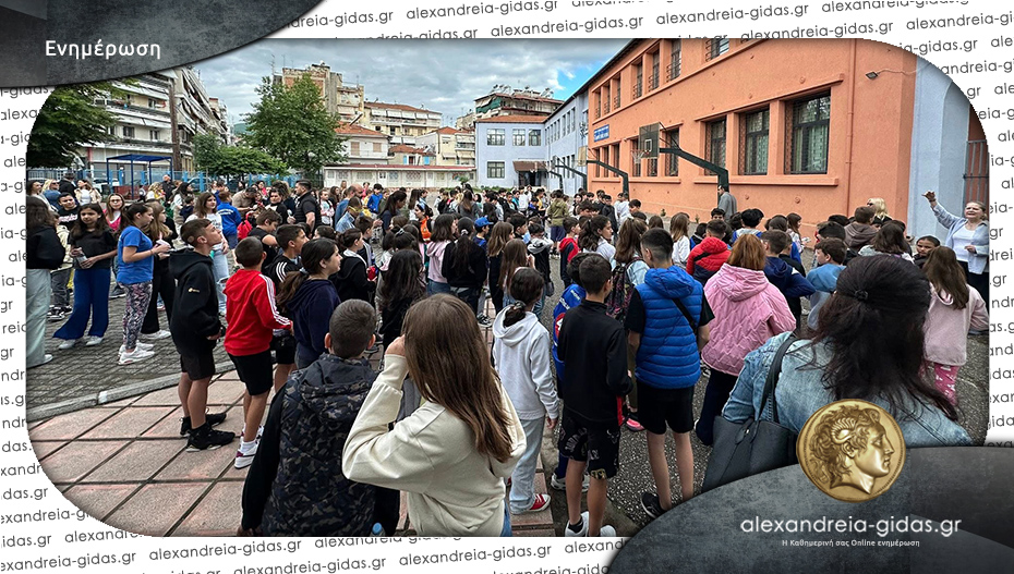 Μαθηματικός διαγωνισμός «Στέλιος Μιόγλου» με συμμετοχή 211 μαθητών από την Ημαθία