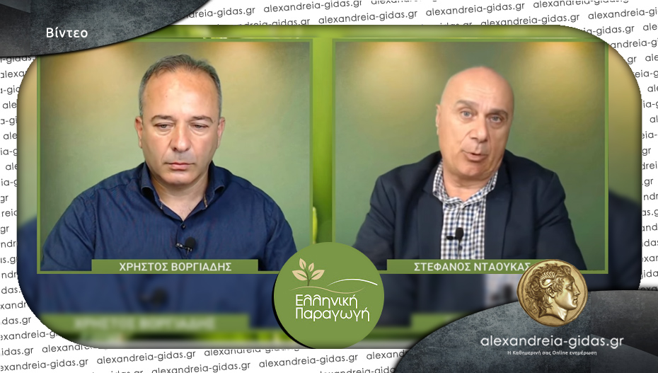 Ο Στέφανος Νταούκας στην Ελληνική Παραγωγή – Web TV: “50 λεπτά το βιομηχανικό ροδάκινο”