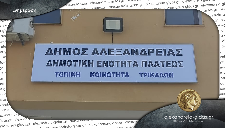 Νέα πρόεδρος στα Τρίκαλα η Κυριακή Σωτηράκη