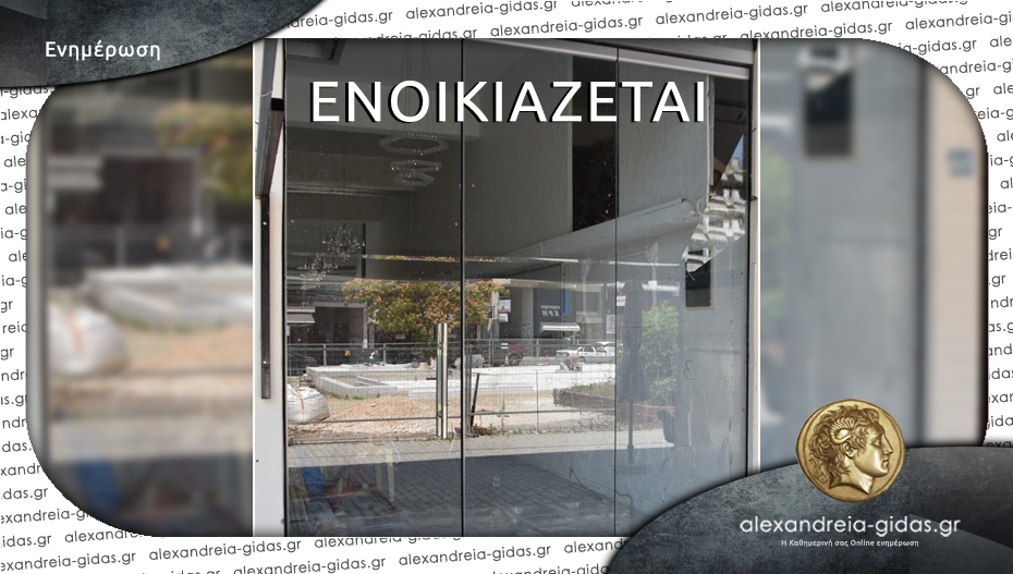 Ενοικιάζεται επαγγελματικός χώρος στον πεζόδρομο της Αλεξάνδρειας