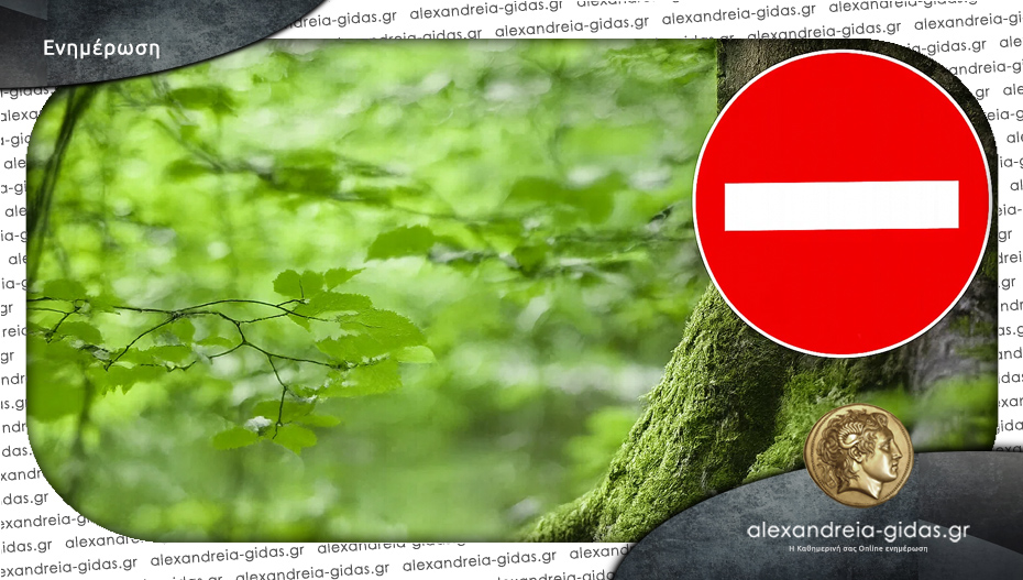 Απαγόρευση κυκλοφορίας σε περιοχές της Ημαθίας – υψηλή η κατηγορία κινδύνου πυρκαγιάς για σήμερα