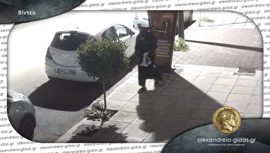Επιχείρηση στην Αλεξάνδρεια φύτεψε λουλούδια στον χώρο της αλλά..