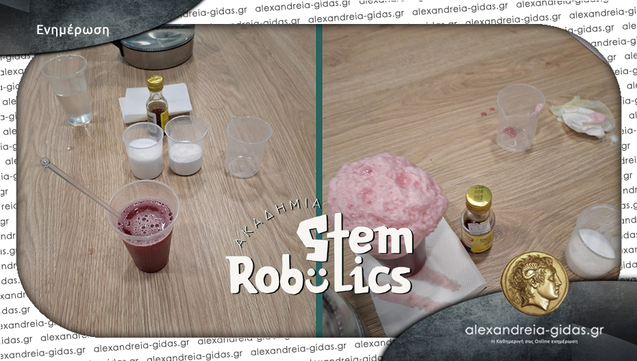Πειράματα & STEM στην Ακαδημία STEM Robotics στην Αλεξάνδρεια: Το μέλλον ξεκινά από την περιέργεια!