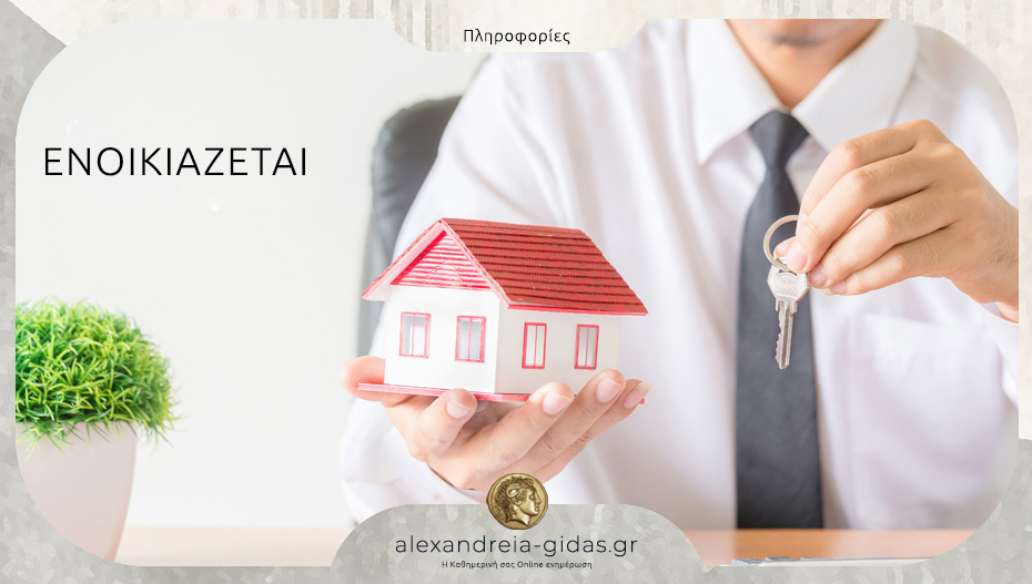 Ενοικιάζονται τριάρι διαμέρισμα και επαγγελματικός χώρος στην Αλεξάνδρεια