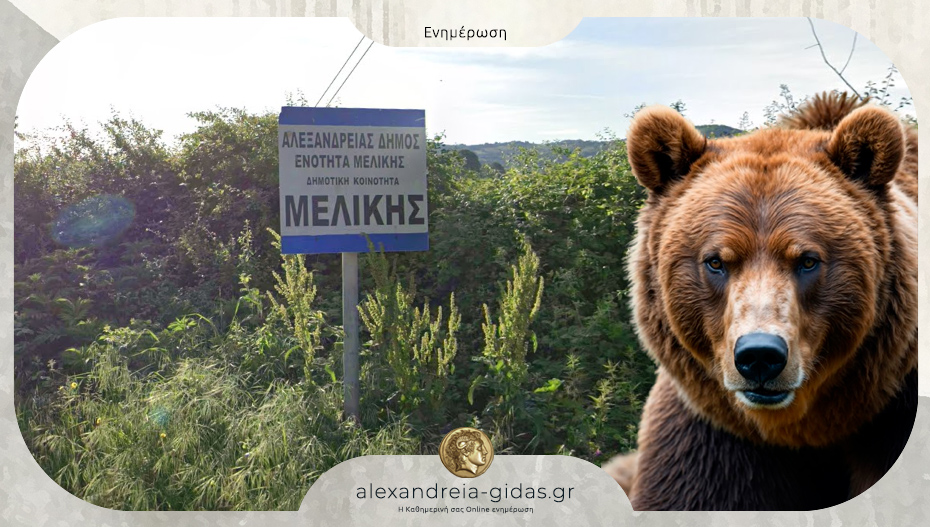 Αρκούδα εμφανίστηκε στη Μελίκη – να είναι ιδιαίτερα προσεκτικοί οι πολίτες