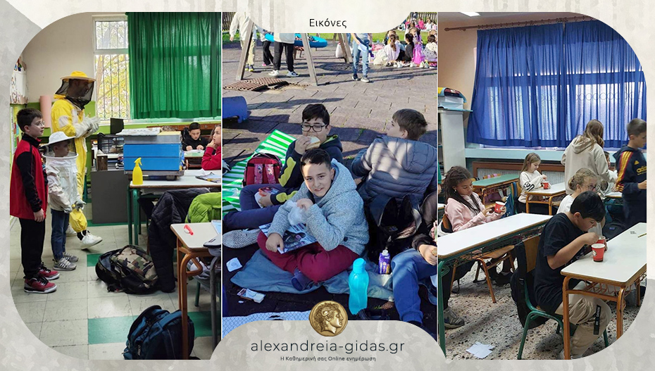 Πετυχημένη η εβδομάδα υγιεινής διατροφής στο 7ο Δημοτικό Σχολείο Αλεξάνδρειας