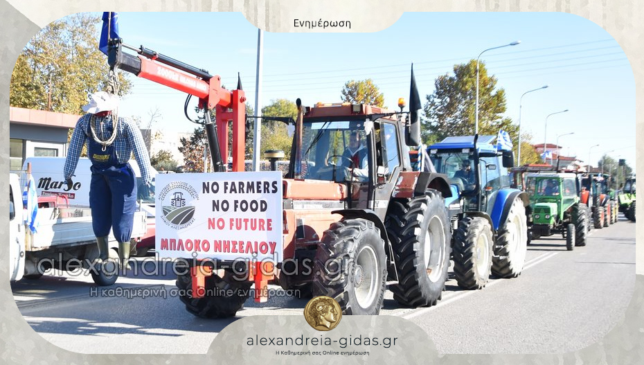 Γενική Συνέλευση των αγροτών της Αλεξάνδρειας την Παρασκευή στο δημαρχείο