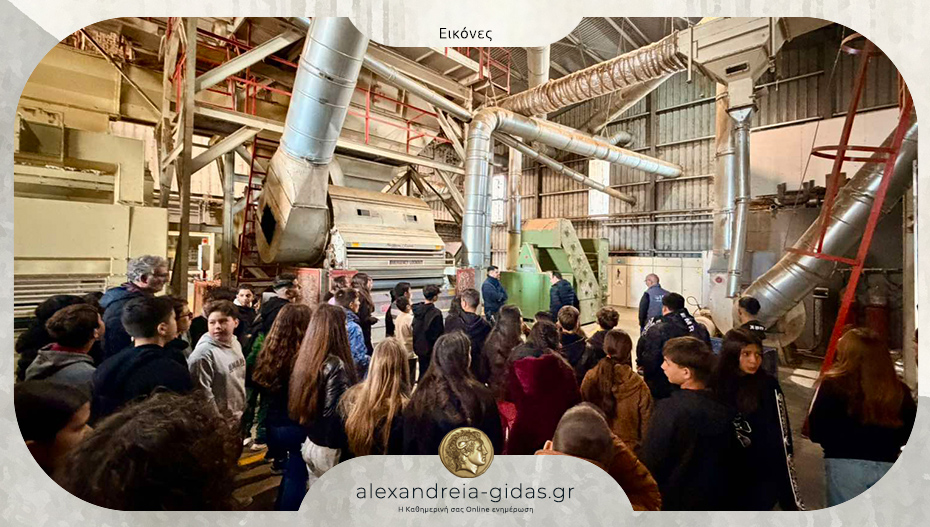 Επίσκεψη του Γυμνασίου Τρικάλων στο Εκκοκκιστήριο Βάμβακος ΜΠΑΒΕΛΗΣ στον Πλάτανο