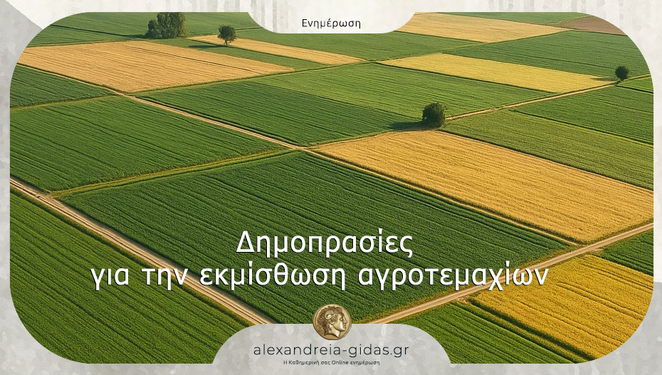 Δημοπρασίες για την εκμίσθωση αγροτεμαχίων του δήμου Αλεξάνδρειας