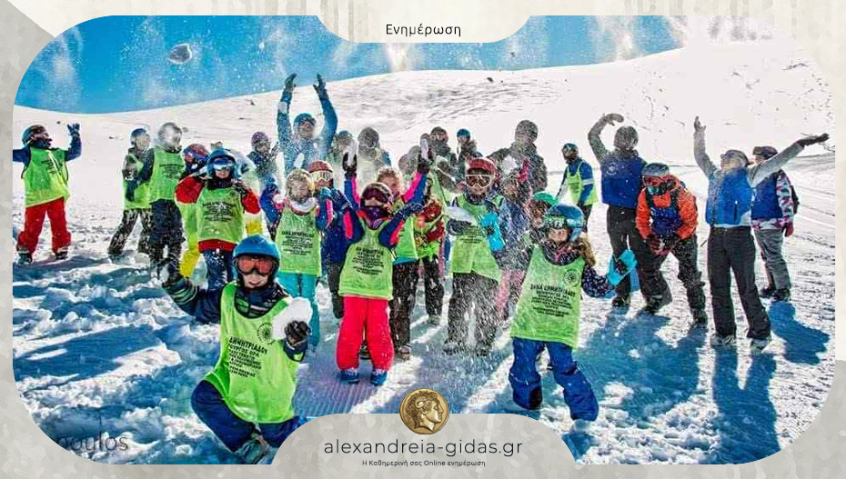 Γραφτείτε στο τμήμα χιονοδρομίας (σκι) του ΓΑΣ Αλεξάνδρειας!