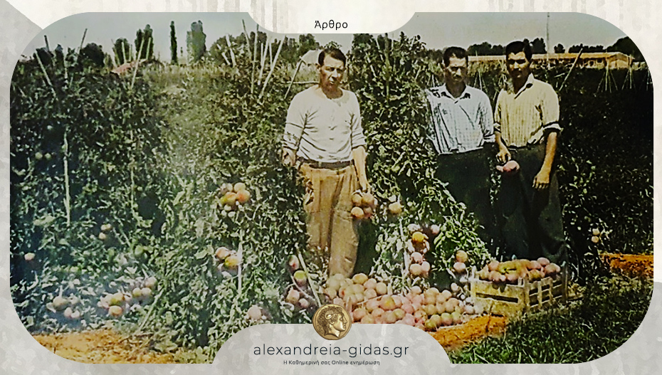 Ο λαχανόκηπος και ανθόκηπος του Νικολάου Δ. Νίλα