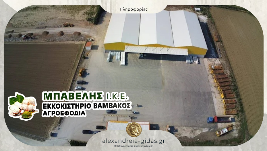 Προσλήψεις Ηλεκτρολόγου Μηχανολόγου και Μηχανικού – Ηλεκτροσυγκολλητή στα εκκοκκιστήρια ΜΠΑΒΕΛΗΣ