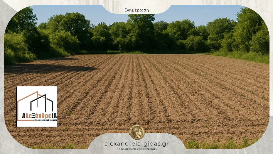 ΠΩΛΟΥΝΤΑΙ δύο χωράφια στην Αλεξάνδρεια