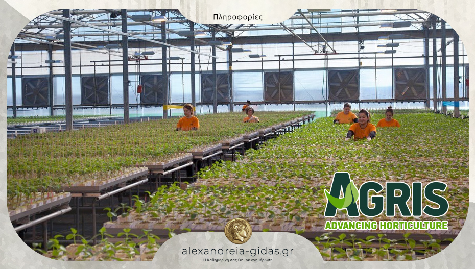 Εργάτες παραγωγής προσλαμβάνει η Agris A.E. στο Κλειδί