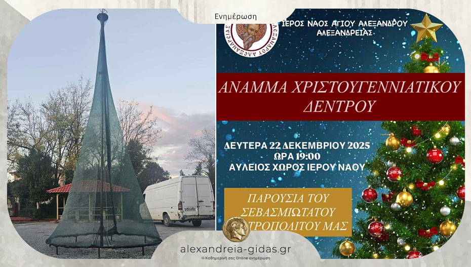 Στις 22 Δεκεμβρίου ανάβει το χριστουγεννιάτικο δέντρο στον Άγιο Αλέξανδρο Αλεξάνδρειας