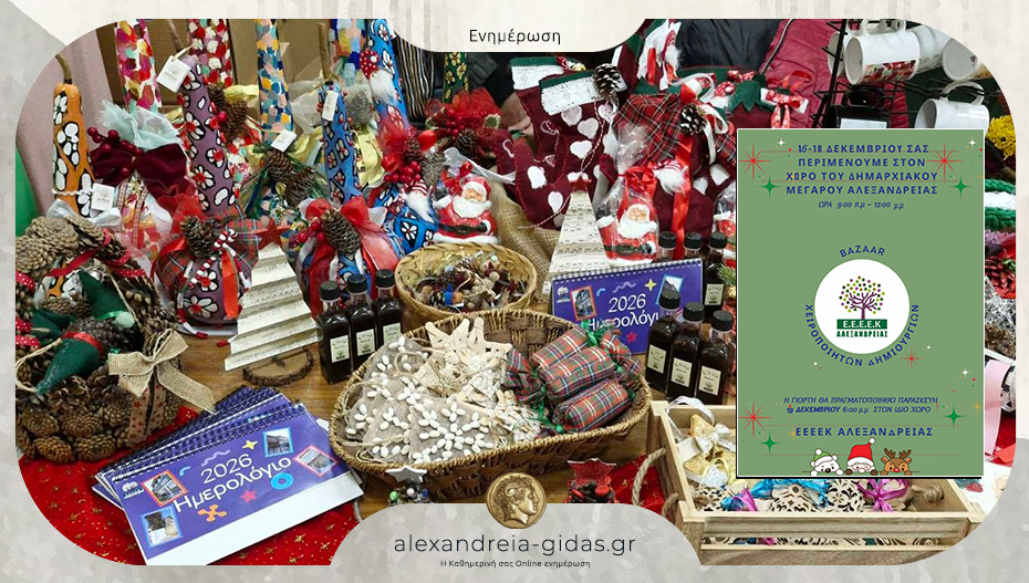 Χριστουγεννιάτικο bazaar του ΕΕΕΕΚ Αλεξάνδρειας και η γιορτή του σχολείου στο δημαρχείο