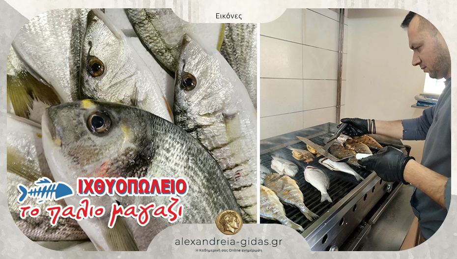 Τα ψάρια και του Σαββάτου στο ιχθυοπωλείο «Το Παλιό Μαγαζί» στην Αλεξάνδρεια!