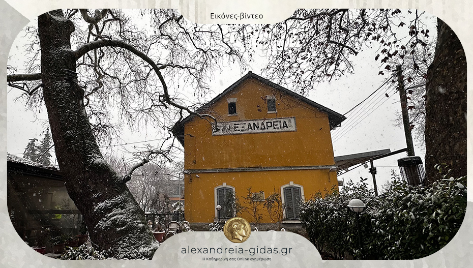 Δείτε την Αλεξάνδρεια “ντυμένη” στα λευκά!