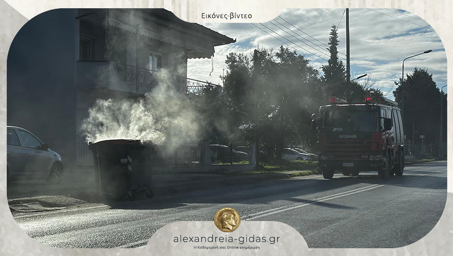 Φωτιά σε κάδο απορριμμάτων στην Αλεξάνδρεια