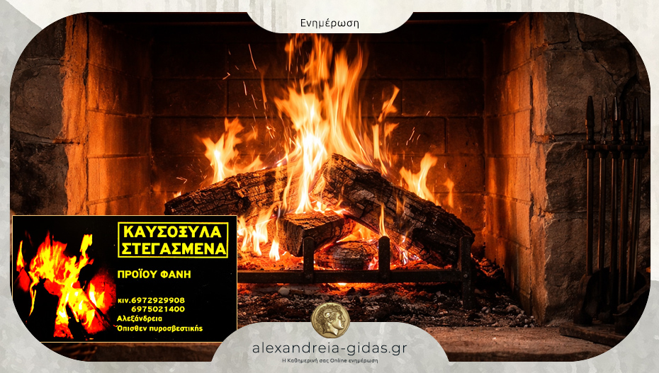 Βρείτε ποιοτικά καυσόξυλα στην “ΠΡΟΙΟΥ Φανή” στην Αλεξάνδρεια!