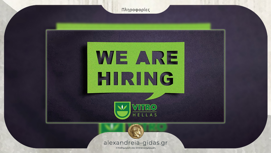 Πρόσληψη βοηθού λογιστή στη Vetro Hellas με έδρα το Νησέλι
