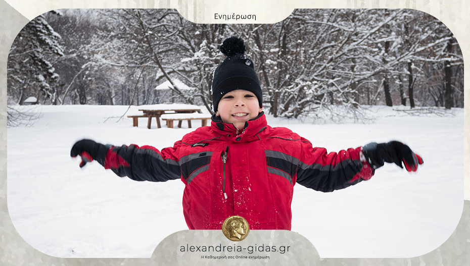 Έκτακτο: Κλειστά όλα τα σχολεία στον δήμο Αλεξάνδρειας