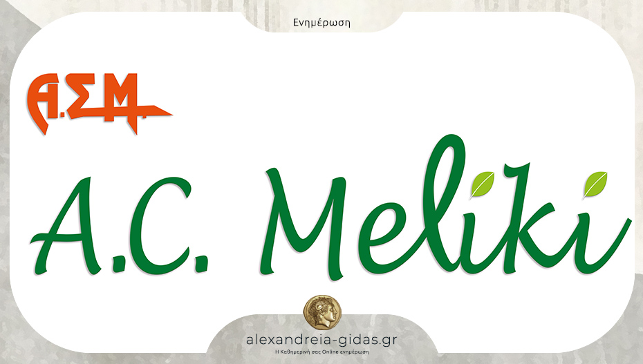 Πρόσληψη λογιστή από τον Α.Σ. Μελίκης