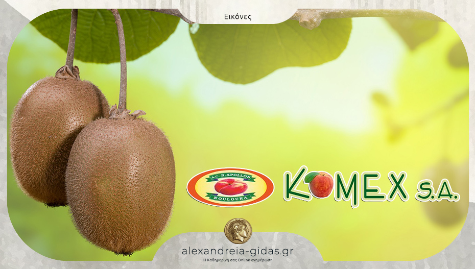 Ακτινίδιο από την Ο.Π. Α.Ε.Σ. ΚΟΜΕΞ: Η καθημερινή επιλογή που δίνει ενέργεια και φροντίδα στον οργανισμό