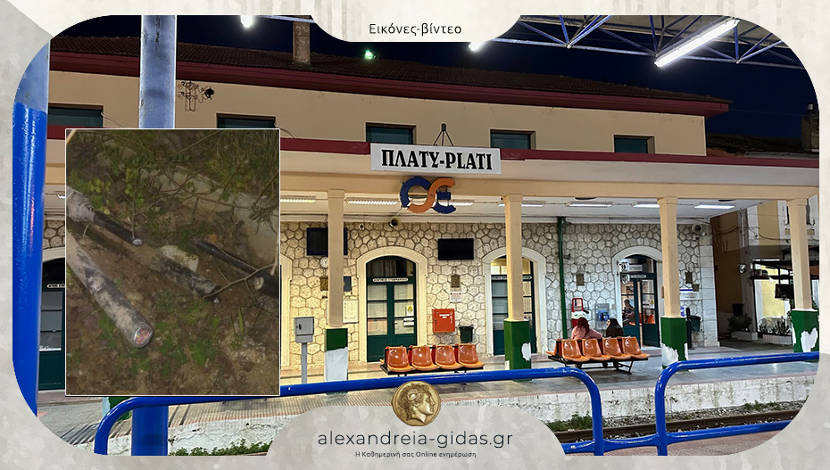 Έσπασαν τσιμέντα και έκοψαν καλώδια τηλεδιοίκησης του ΟΣΕ στο Πλατύ