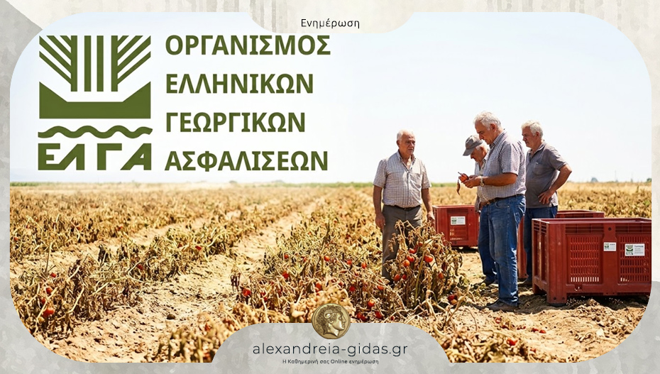 Πορίσματα εκτίμησης από τον καύσωνα του Ιουλίου 2025 για τις καλλιέργειες Βιομηχ. τομάτας στον Σταυρό