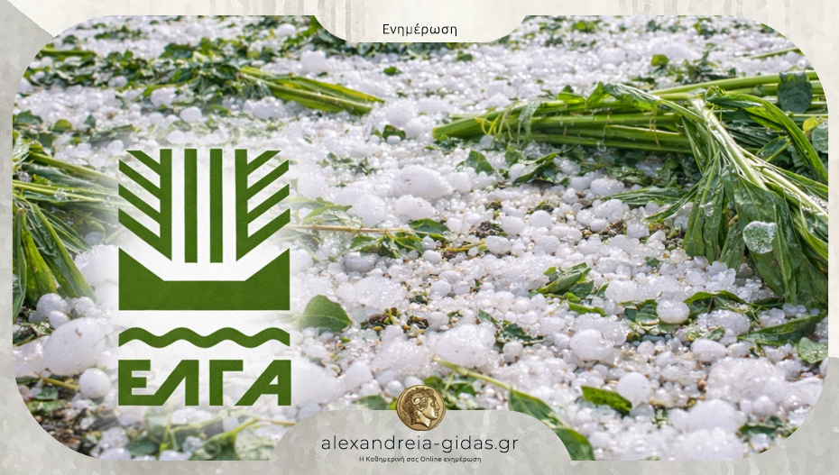 Πορίσματα για εκτιμήσεις ζημιών από το χαλάζι στις καλλιέργειες Σκυλιτσίου και Καβασίλων