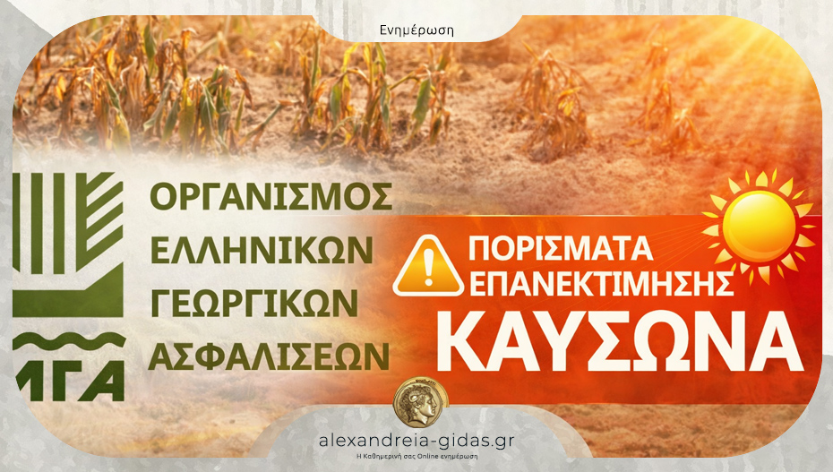 Οριστικά πορίσματα του ΕΛΓΑ για τον καύσωνα του Ιουλίου 2024 σε καλλιέργειες του Σταυρού