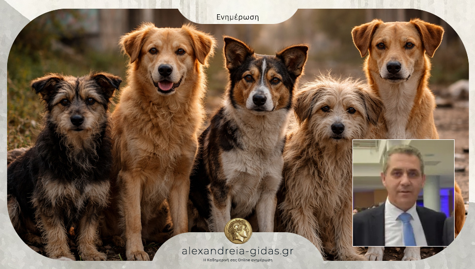 Νίκος Γιαννάκης: “Οι δράσεις που υλοποιήθηκαν για τα αδέσποτα την εβδομάδα που πέρασε”