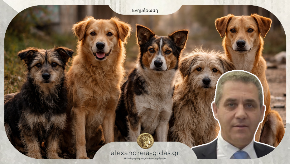 Οι δράσεις διαχείρισης αδέσποτων ζώων συντροφιάς από τις υπηρεσίες του δήμου Αλεξάνδρειας