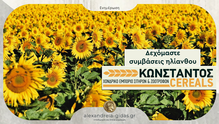 ΚΩΝΣΤΑΝΤΟΣ CEREALS στην Κυψέλη: Ξεκίνησαν οι συμβάσεις ηλίανθου με συνέπεια στον παραγωγό!