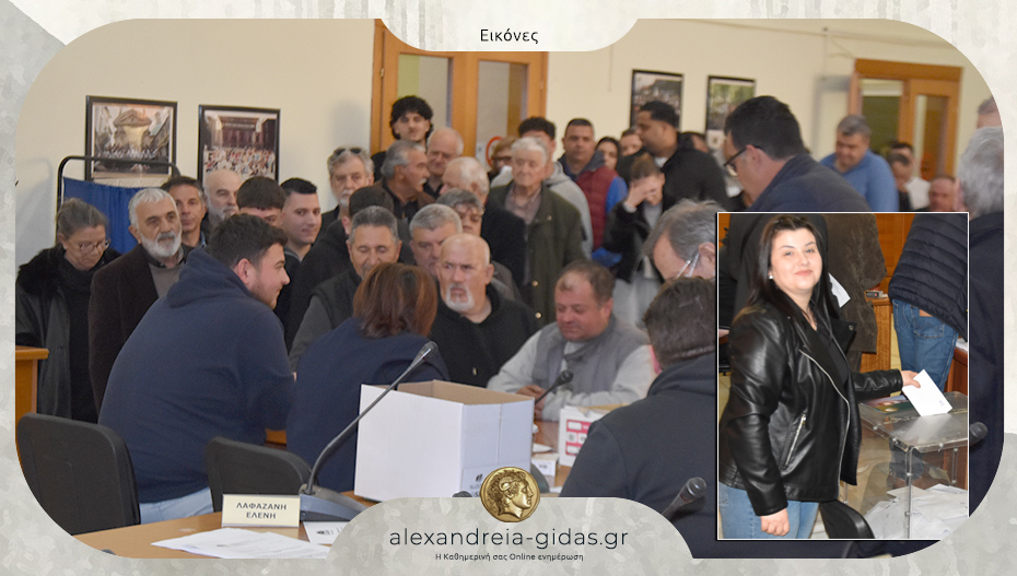 Με μεγάλη συμμετοχή οι εκλογές του ΠΑΣΟΚ στην Αλεξάνδρεια – ουρά στο δημαρχείο