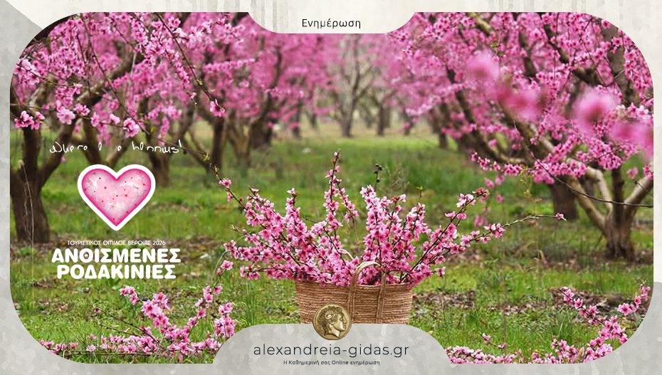 Ανθισμένες Ροδακινιές της Βέροιας 2026 – δείτε το πρόγραμμα εκδηλώσεων