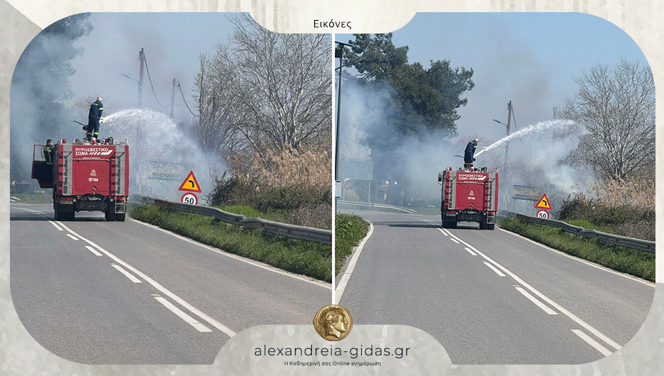 Άνοιξε ο καιρός – άρχισαν οι φωτιές στα χόρτα