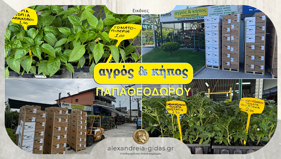 Αγρός & Κήπος ΠΑΠΑΘΕΟΔΩΡΟΥ στην Αλεξάνδρεια: Επιλέξτε οπωροκηπευτικά φυτά για τον κήπο σας!