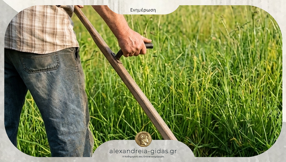 Δήμος Αλεξάνδρειας: Καθαρισμός οικοπεδικών και ακάλυπτων χώρων προς αποφυγή εκδήλωσης πυρκαγιών