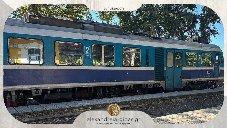 Έπεσε δέντρο και ακινητοποίησε τρένο κοντά στη Βέροια