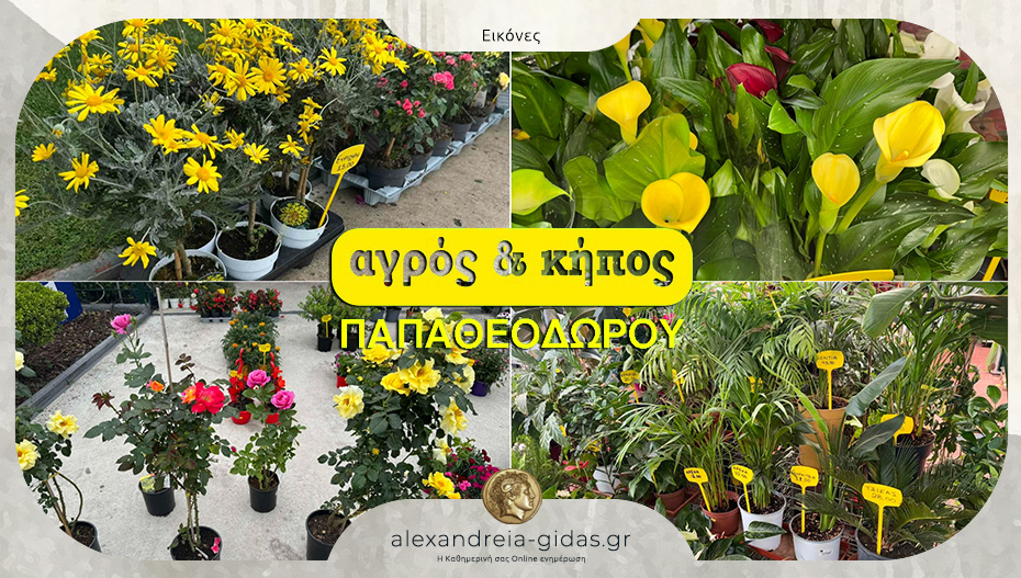 Αγρός & Κήπος ΠΑΠΑΘΕΟΔΩΡΟΥ στην Αλεξάνδρεια: Ανοιχτά την Κυριακή για τη Γιορτή της Μητέρας!