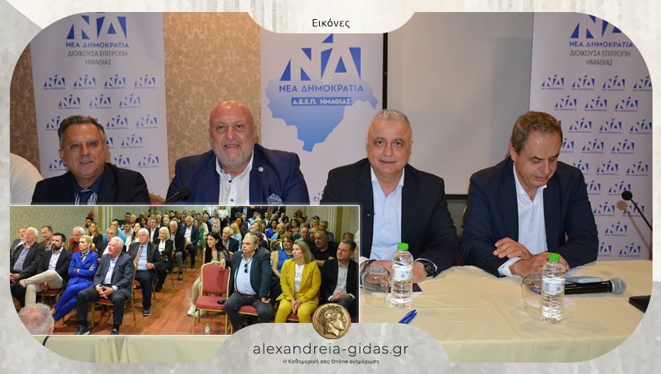 Διευρυμένη συνεδρίαση της ΔΕΕΠ Ημαθίας με καλεσμένο τον Στέλιο Κονταδάκη – ποιοι παραβρέθηκαν