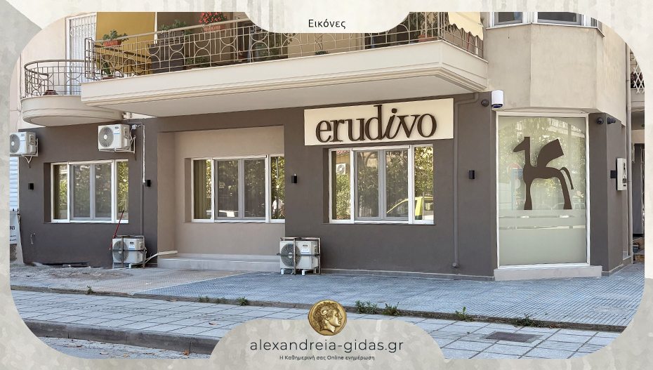 “Erudivo” στην Αλεξάνδρεια: Θερινή προετοιμασία Γ’ Λυκείου – γιατί ο Ιούνιος μπορεί να κάνει την διαφορά;