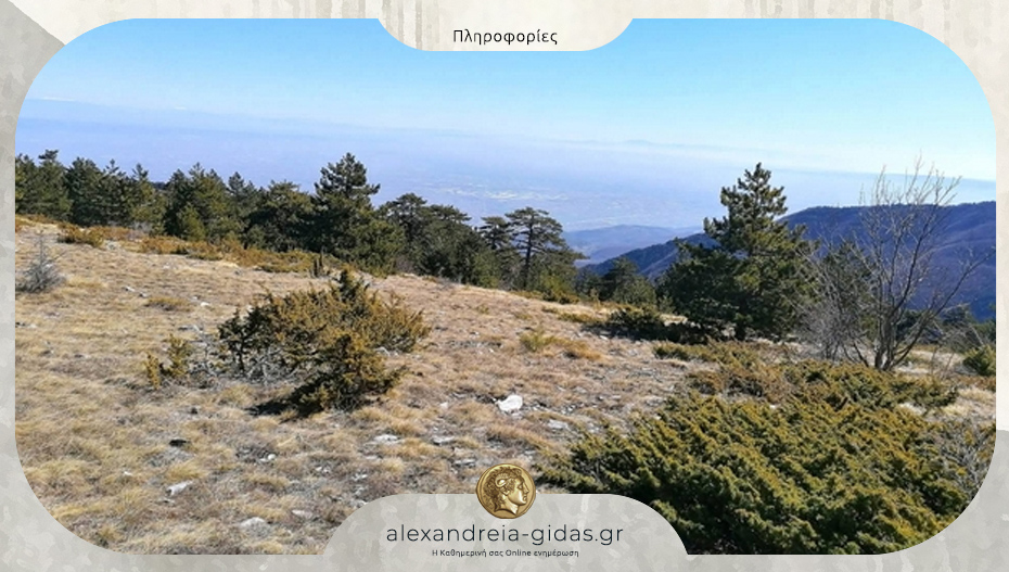 Επιχείρηση διάσωσης από Πυροσβεστική και ΕΜΑΚ για τραυματισμένο περιπατητή πάνω από τον Άγιο Νικόλαο Νάουσας