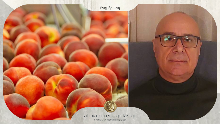 Στ. Νταούκας: “Μη βιώσιμη η κατάσταση για το βιομηχανικό ροδάκινο”