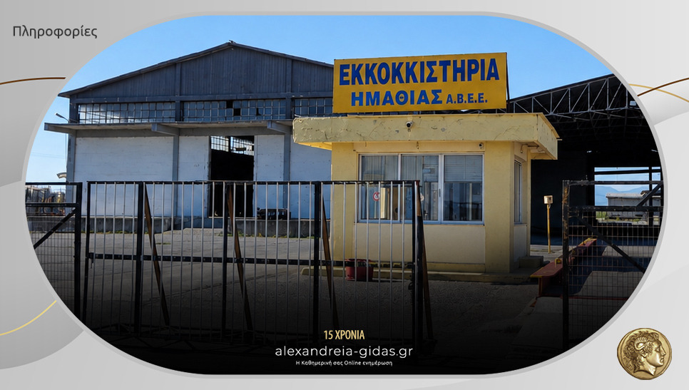 Θέσεις εργασίας στα ΕΚΚΟΚΚΙΣΤΗΡΙΑ ΗΜΑΘΙΑΣ ΑΒΕΕ στην Αλεξάνδρεια – δείτε τις ειδικότητες